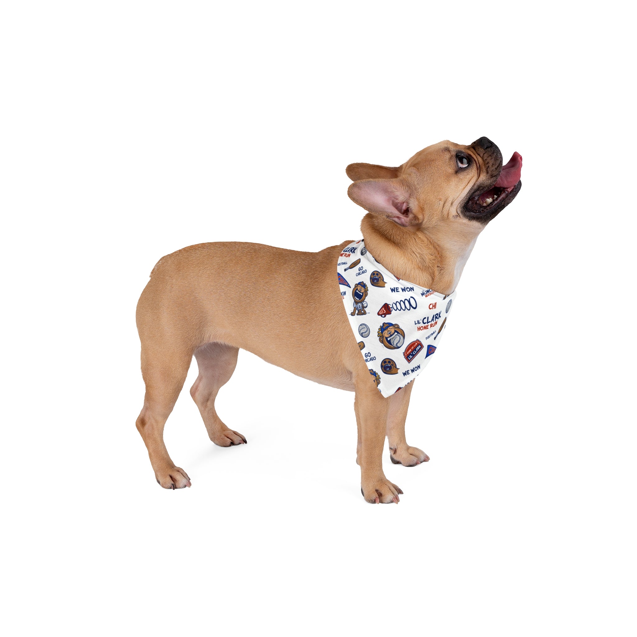 Chicago Baseball Pet Bandana Lil' Clark Pattern | Hand-Drawn Art | Gifts for Pets