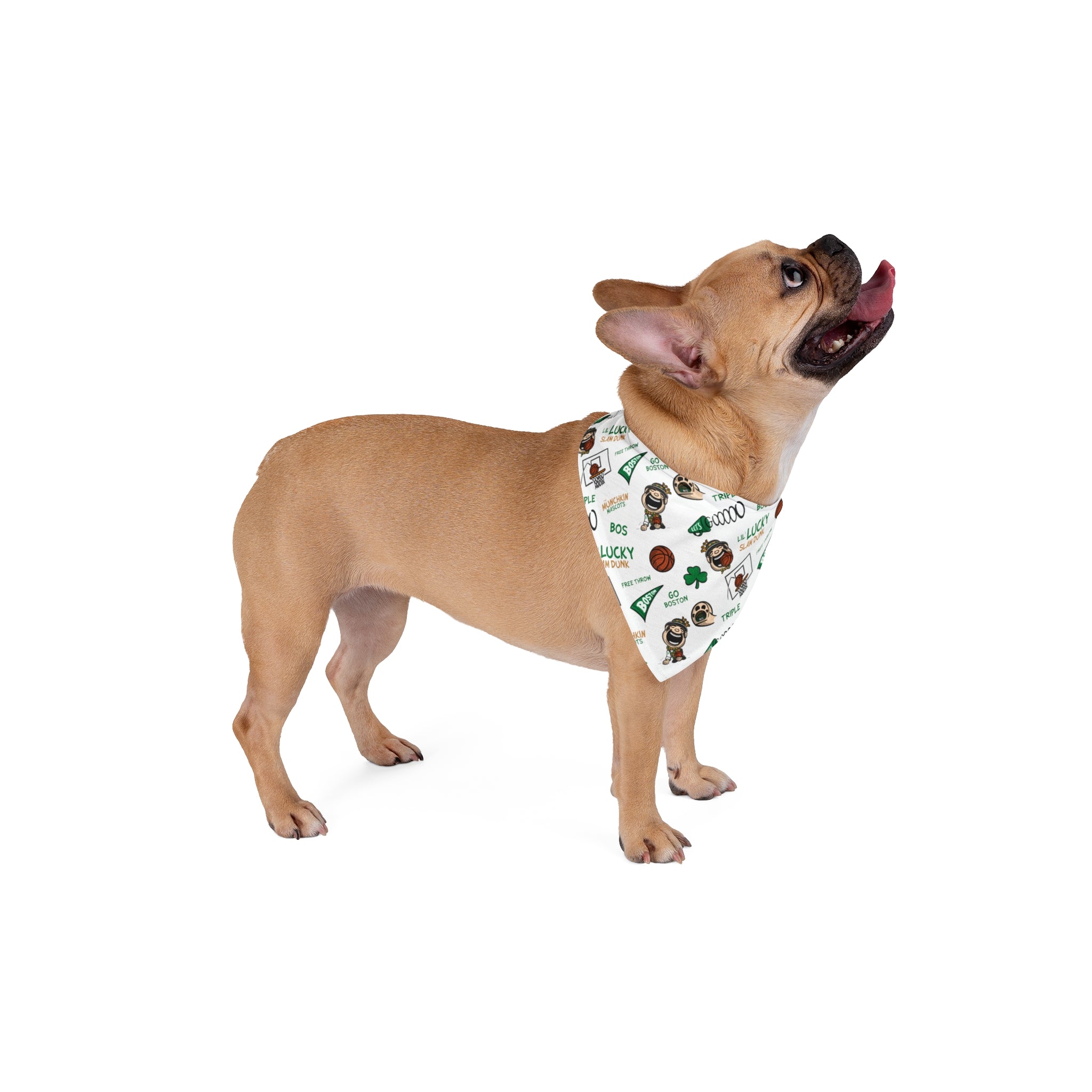 Pet Bandana - Pattern - Lil' Lucky BOS Basketball