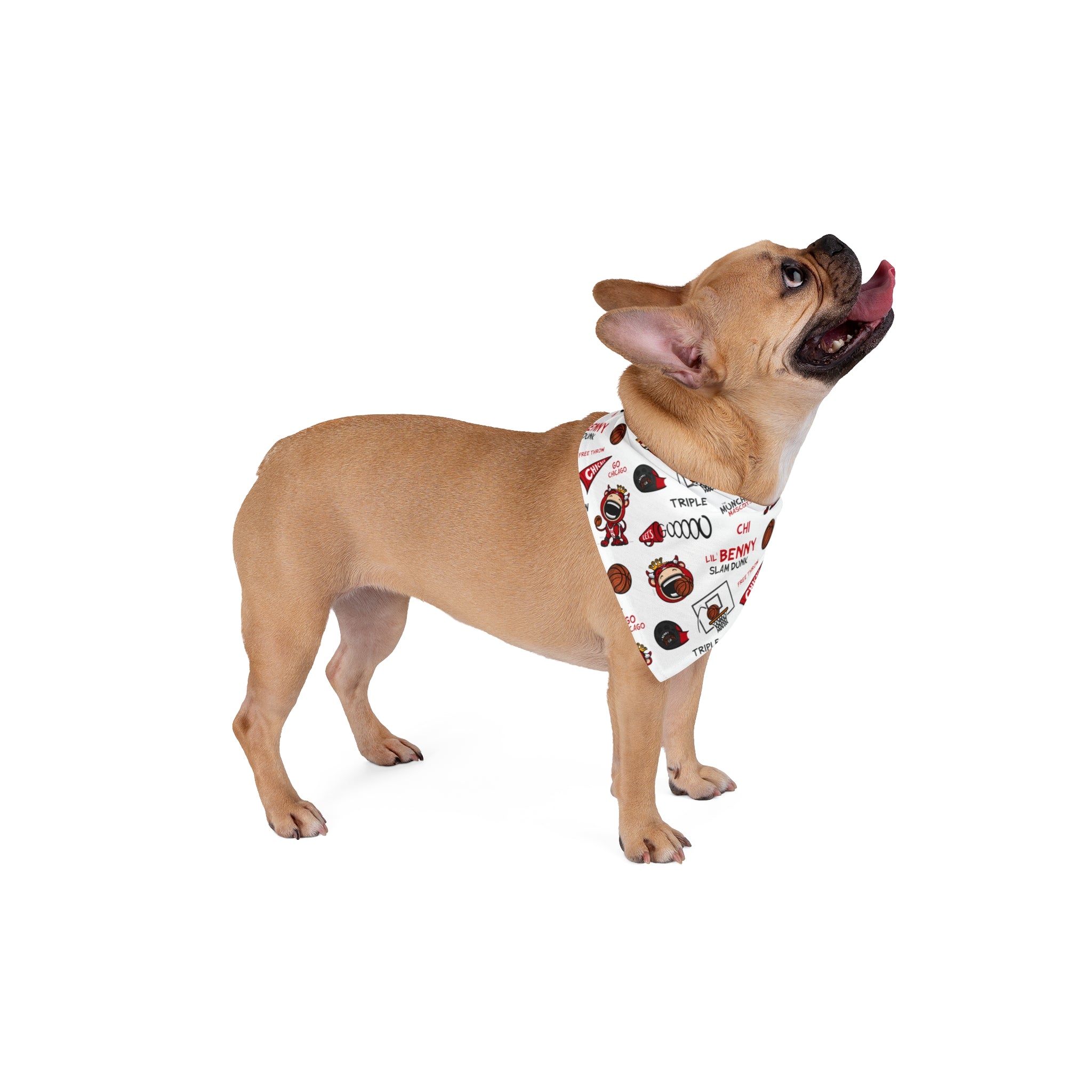 Pet Bandana - Pattern - Lil' Benny CHI Basketball