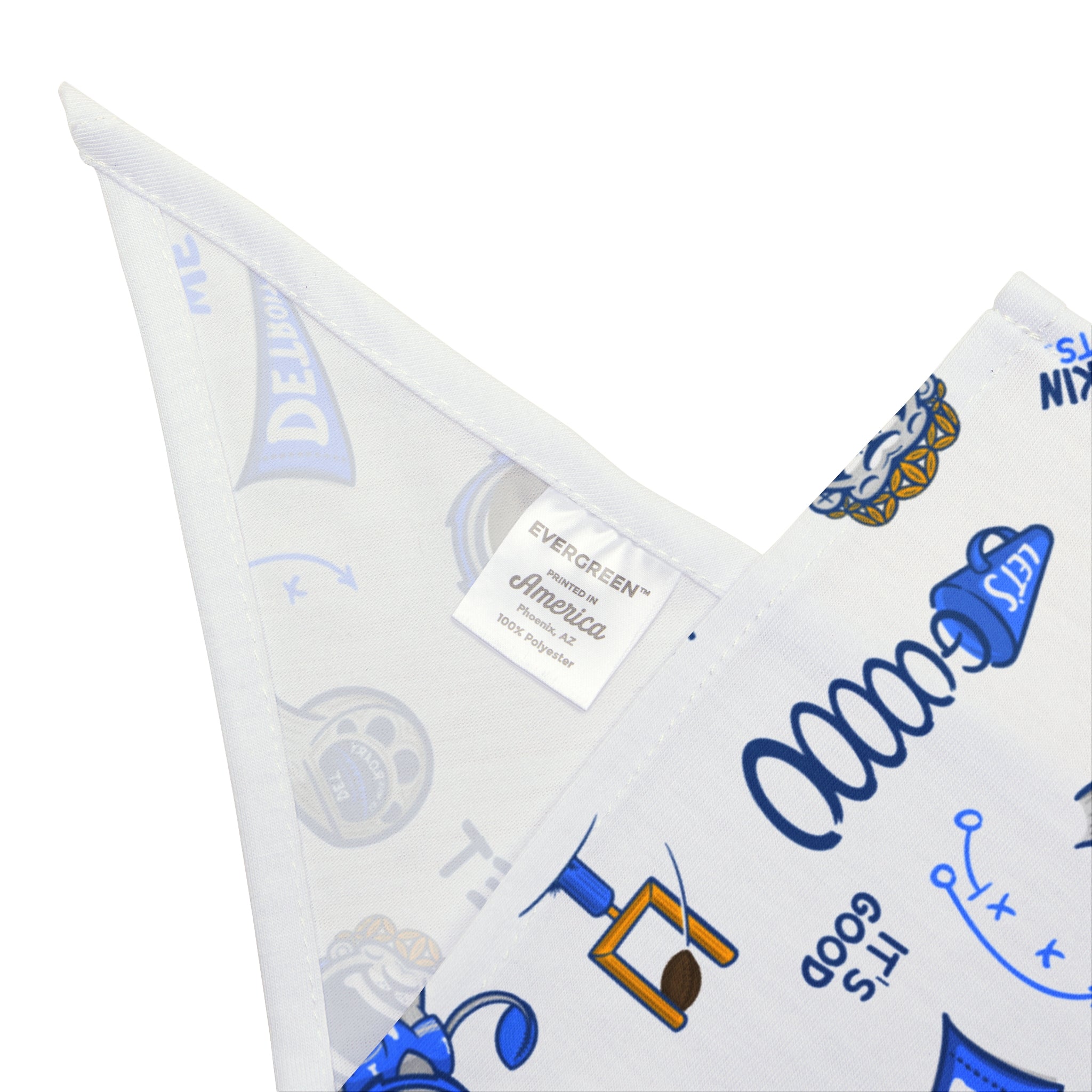 Detroit Football Pet Bandana Lil' Miss Roary Pattern | Hand-Drawn Art | Gifts for Pets