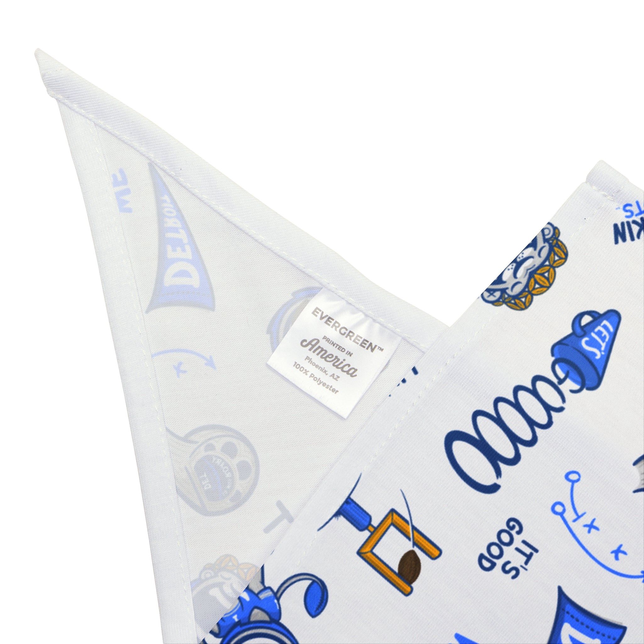 Detroit Football Pet Bandana Lil' Miss Roary Pattern | Hand-Drawn Art | Gifts for Pets
