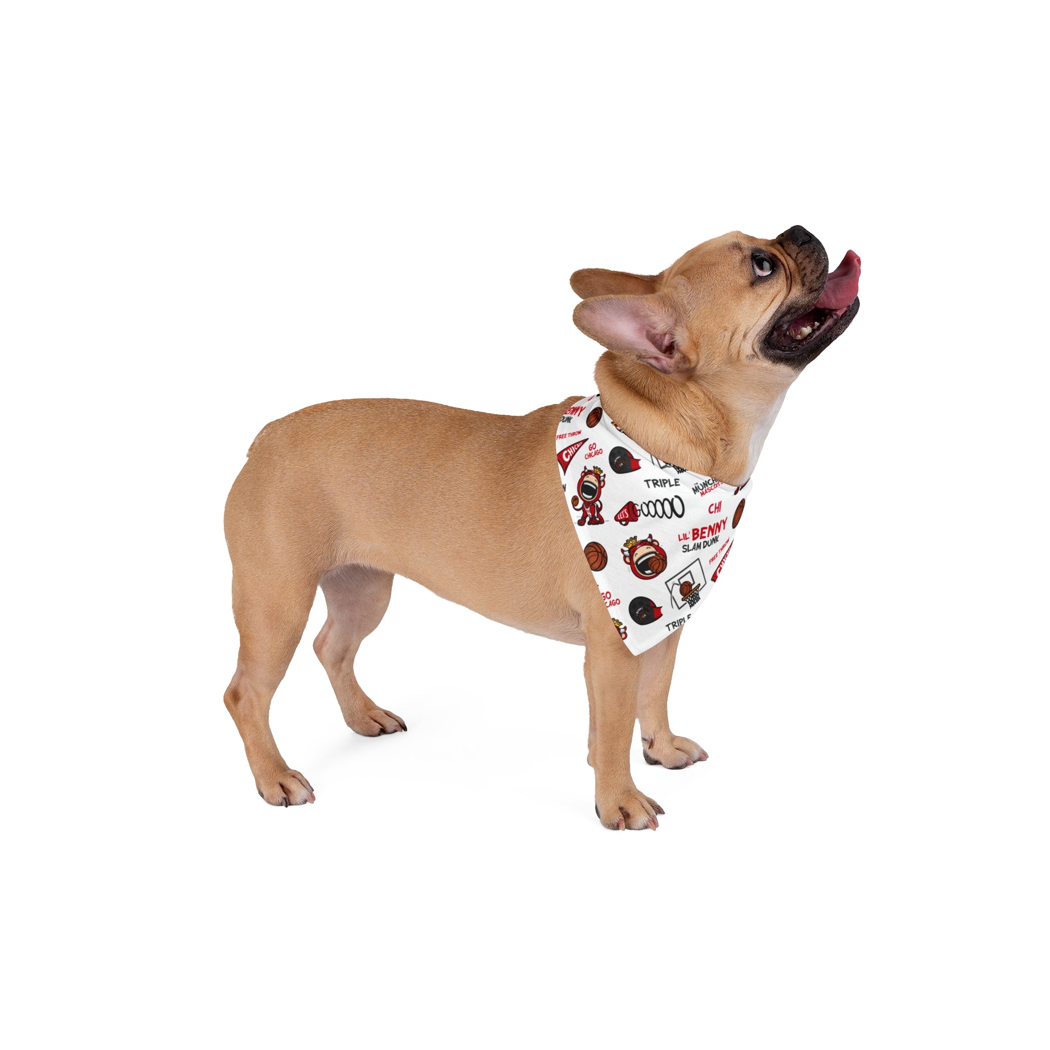 Chicago Basketball Pet Bandana Lil' Benny Pattern | Hand-Drawn Art | Gifts for Pets